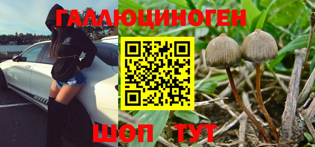Галлюциногенные грибы Magic Shrooms  Псилоцибиновые грибы MAGIC MUSHROOMS  Вход с VPN  Магнитогорск 