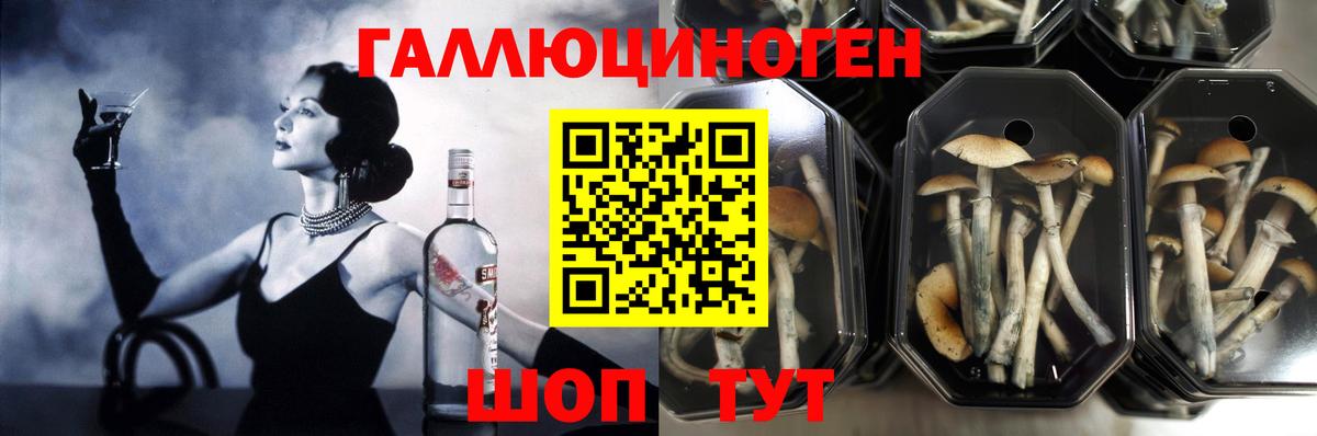 Галлюциногенные грибы мухоморы Магнитогорск